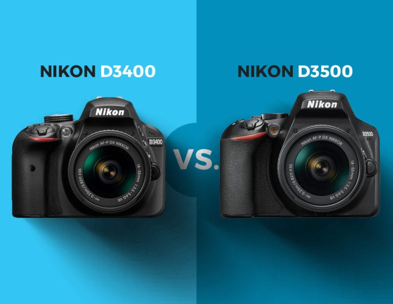 Nikon D3400 vs. Nikon D3500 David Molnar Your Photography Mentor