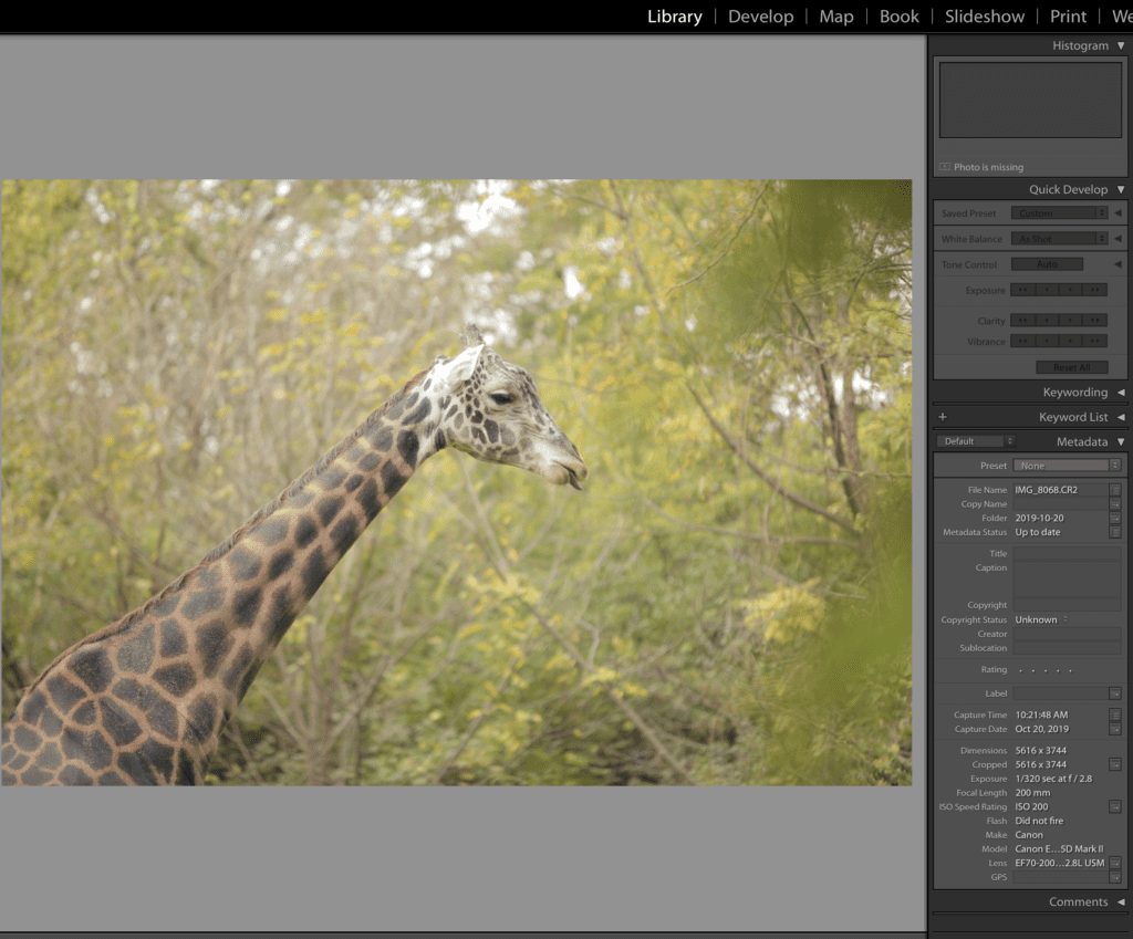 EXIF Information Lightroom
