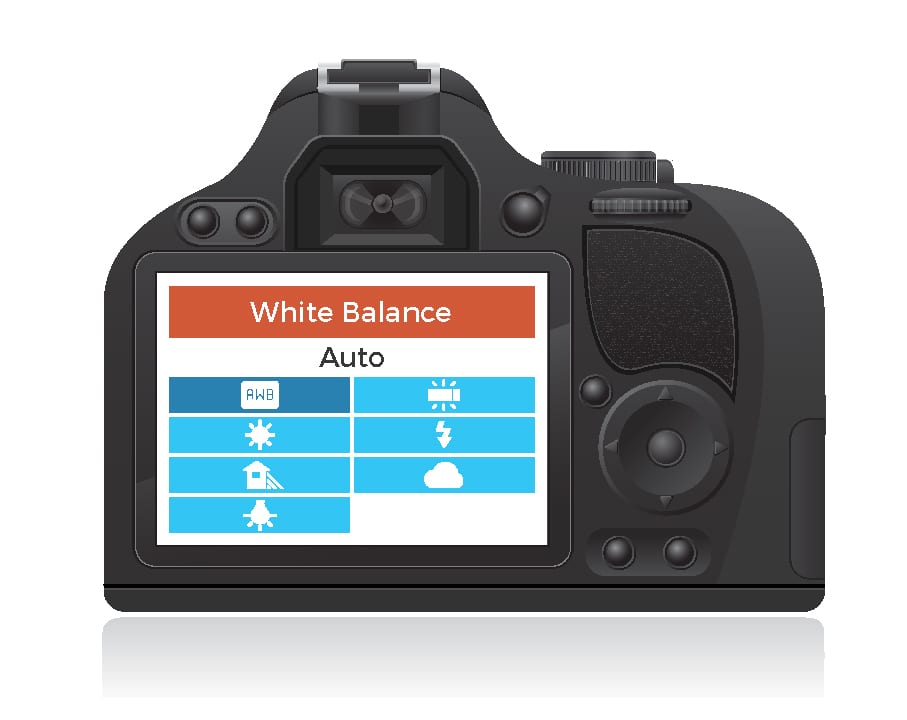 Setting White Balance with Kelvin David Molnar Your Photography Mentor