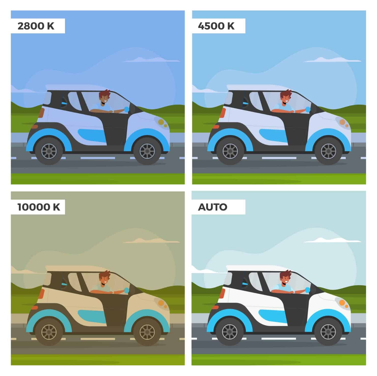 Setting White Balance with Kelvin David Molnar Your Photography Mentor