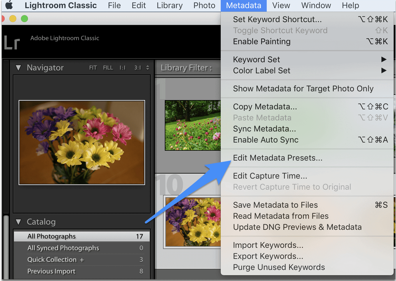 How to Add Metadata to Your Photos – David Molnar – Your Photography Mentor