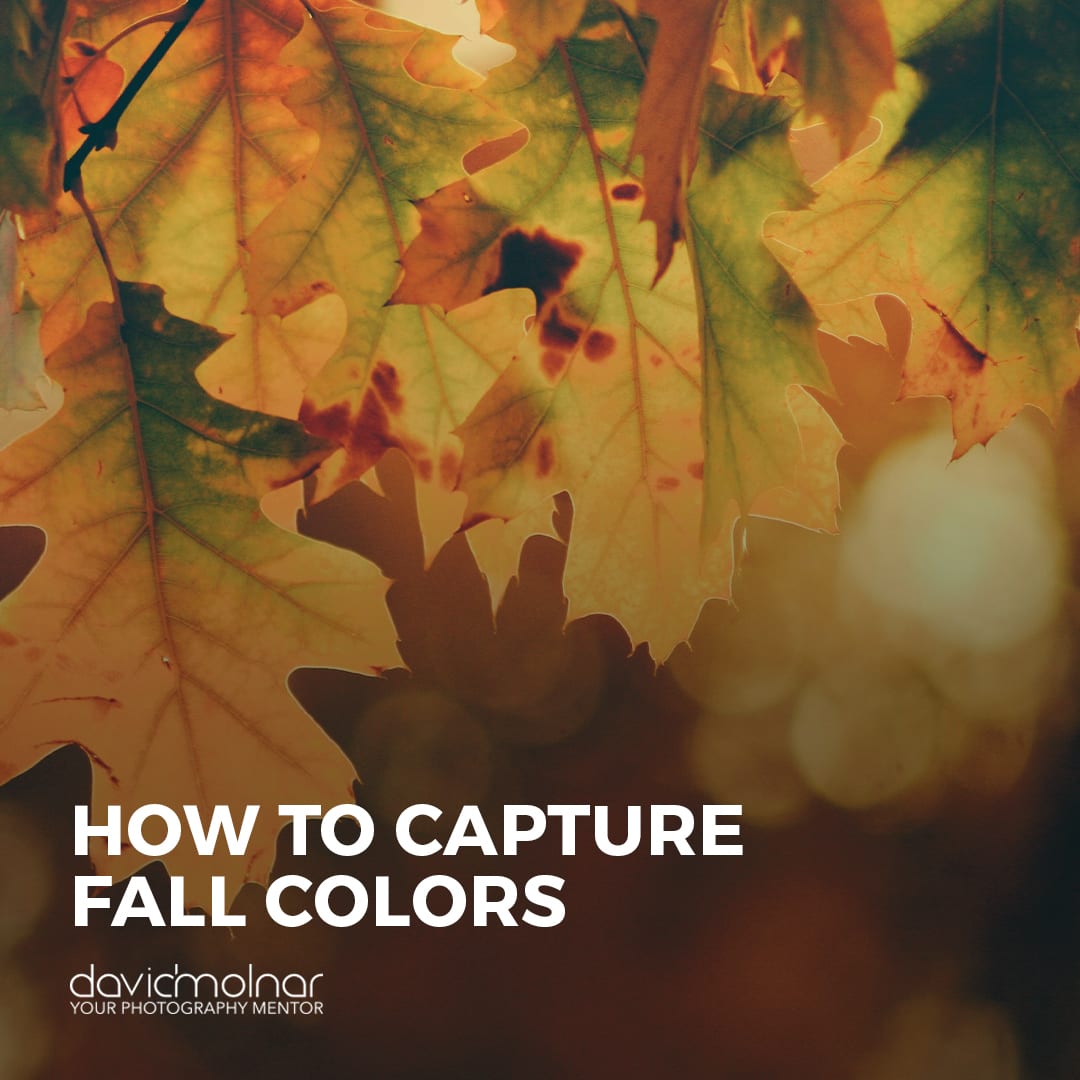 Capturing Fall Colors: 3 Steps to Creating Beautiful Autumn Images ...