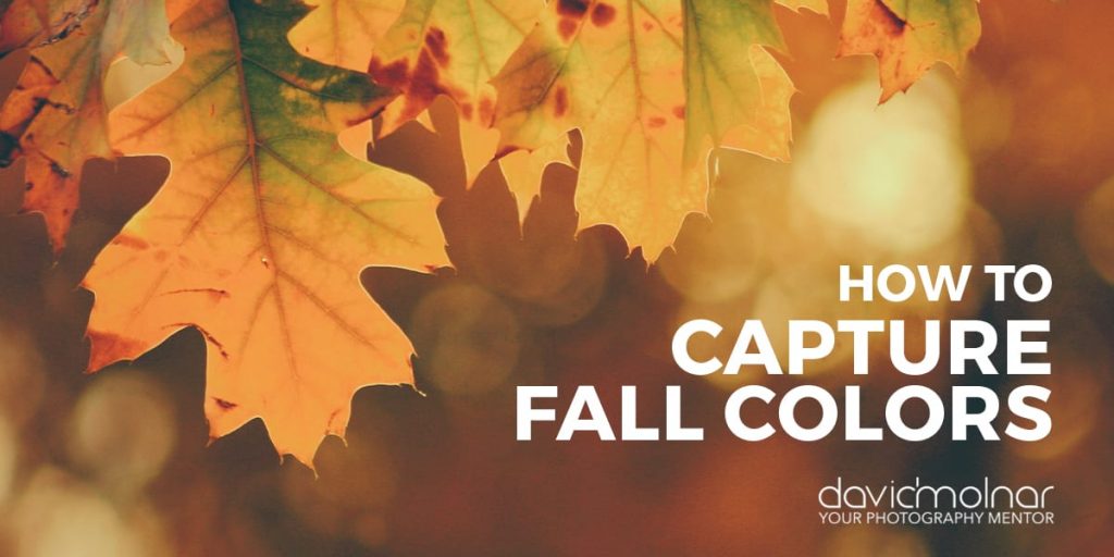 FallColors_Blog FallColors_Blog