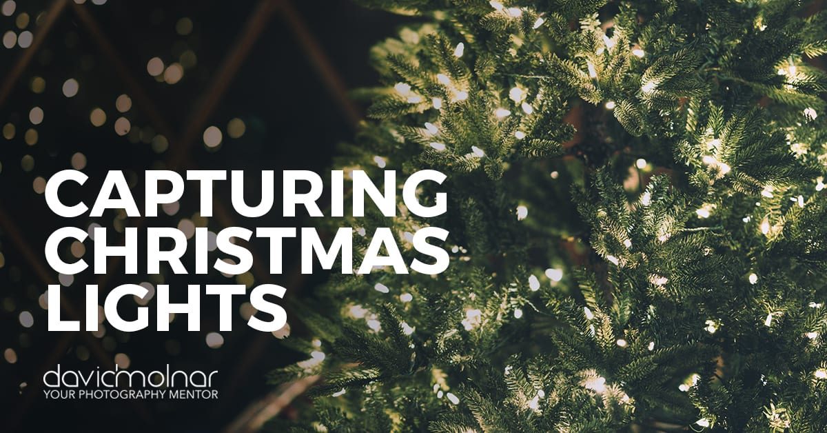 ChristmasLights_Blog ChristmasLights_Blog