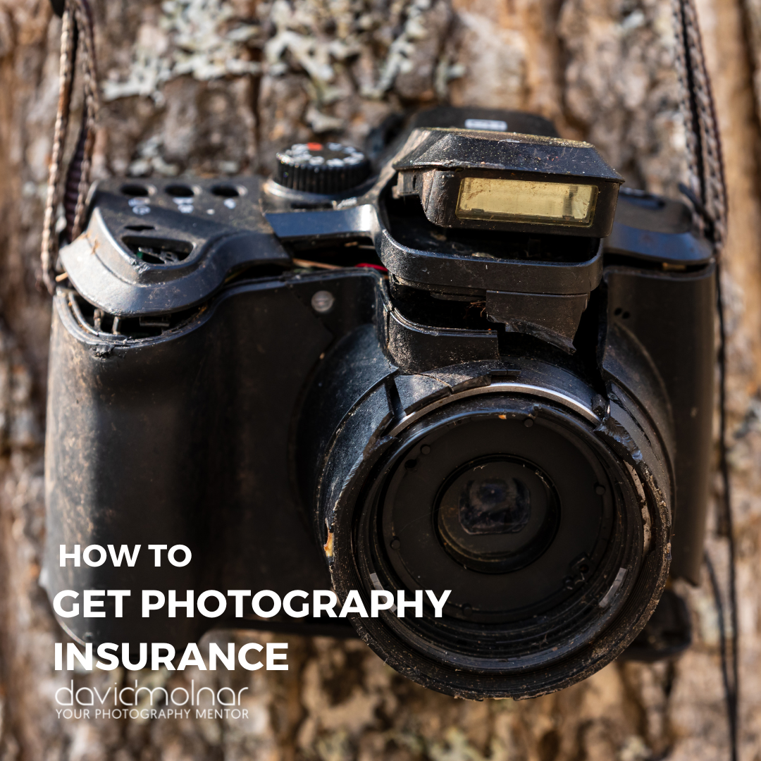 How-To Get Pictures Insurance coverage – David Molnar – Your Pictures Mentor