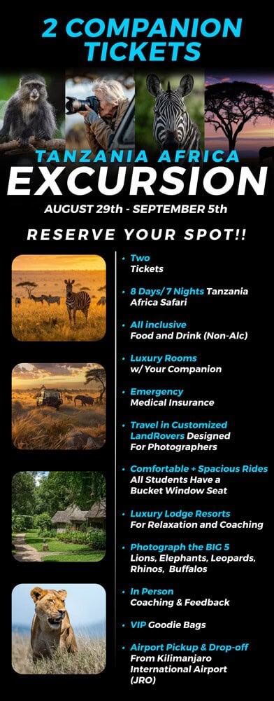 COMPANION-TICKET-1000px